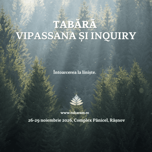 Tabara 26-29 noiembrie 2026