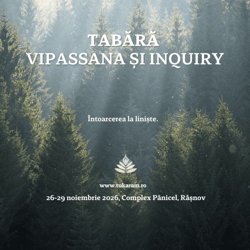 Tabara noiembrie 2026-banner